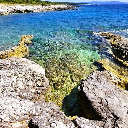 Apartment Agava Istria - Family Vacation Rental With Free Parking, Garden, Wifi Liznjan Exterior photo
