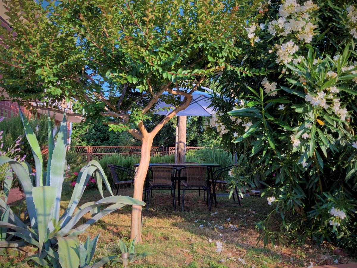 Apartment Agava Istria - Family Vacation Rental With Free Parking, Garden, Wifi Liznjan Exterior photo
