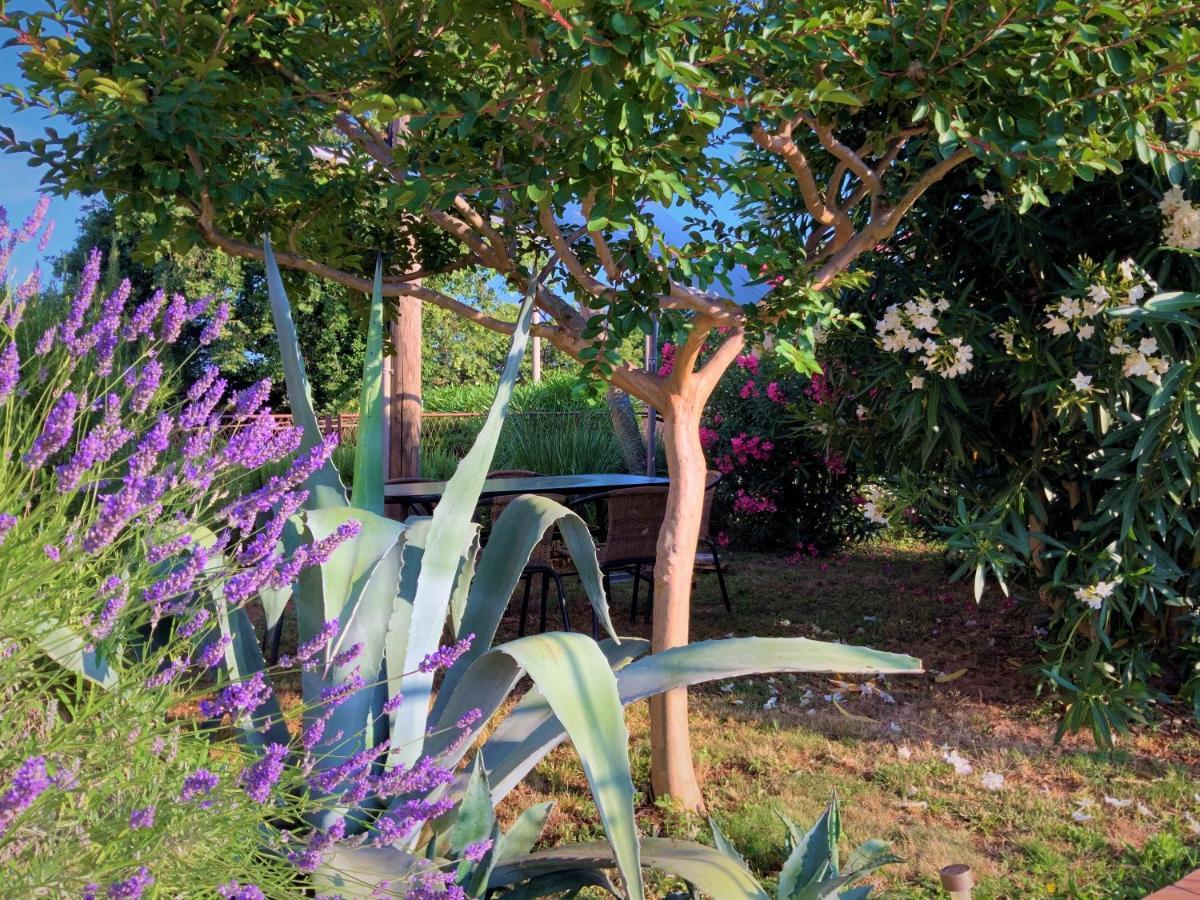Apartment Agava Istria - Family Vacation Rental With Free Parking, Garden, Wifi Liznjan Exterior photo