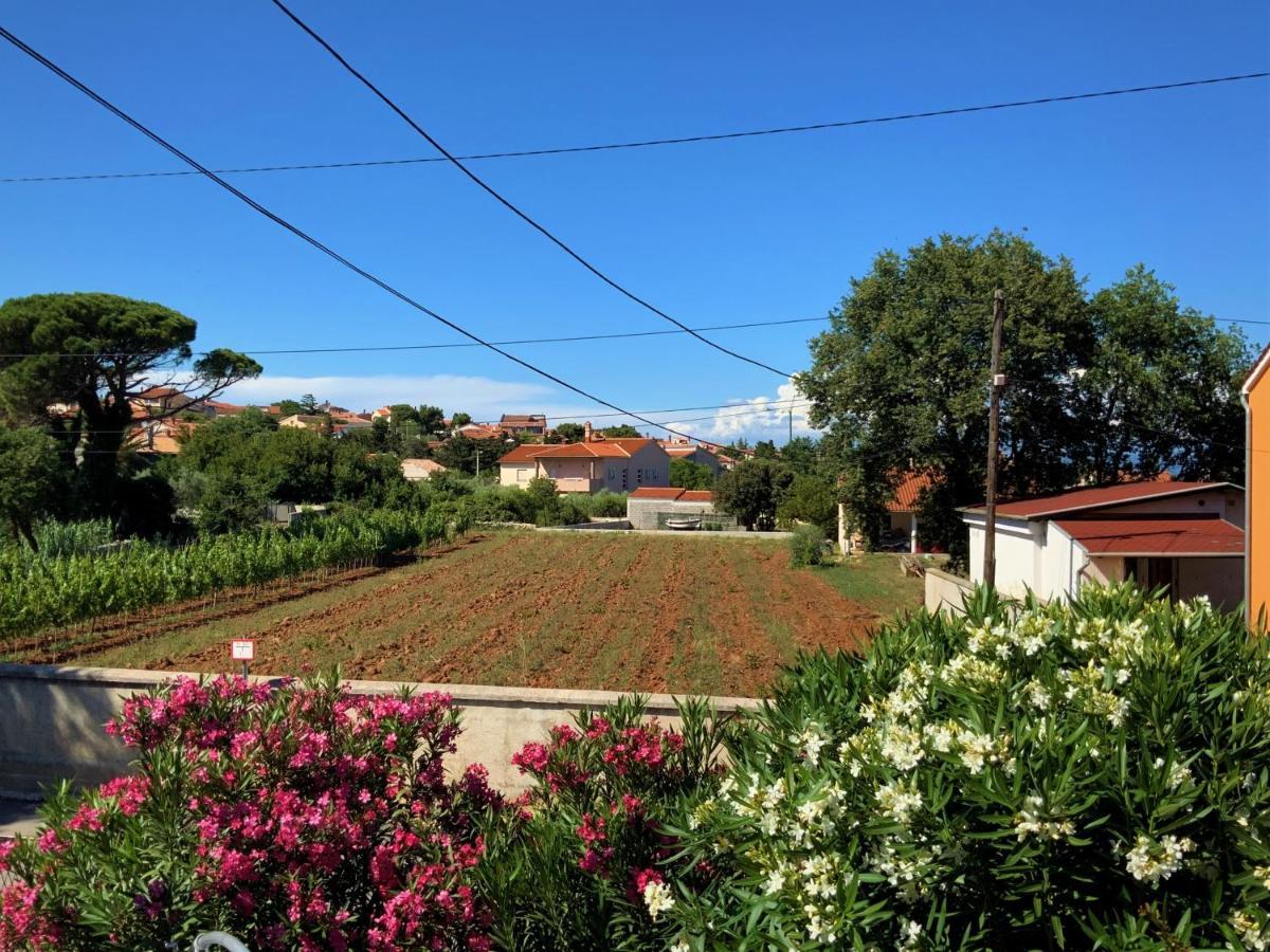 Apartment Agava Istria - Family Vacation Rental With Free Parking, Garden, Wifi Liznjan Exterior photo