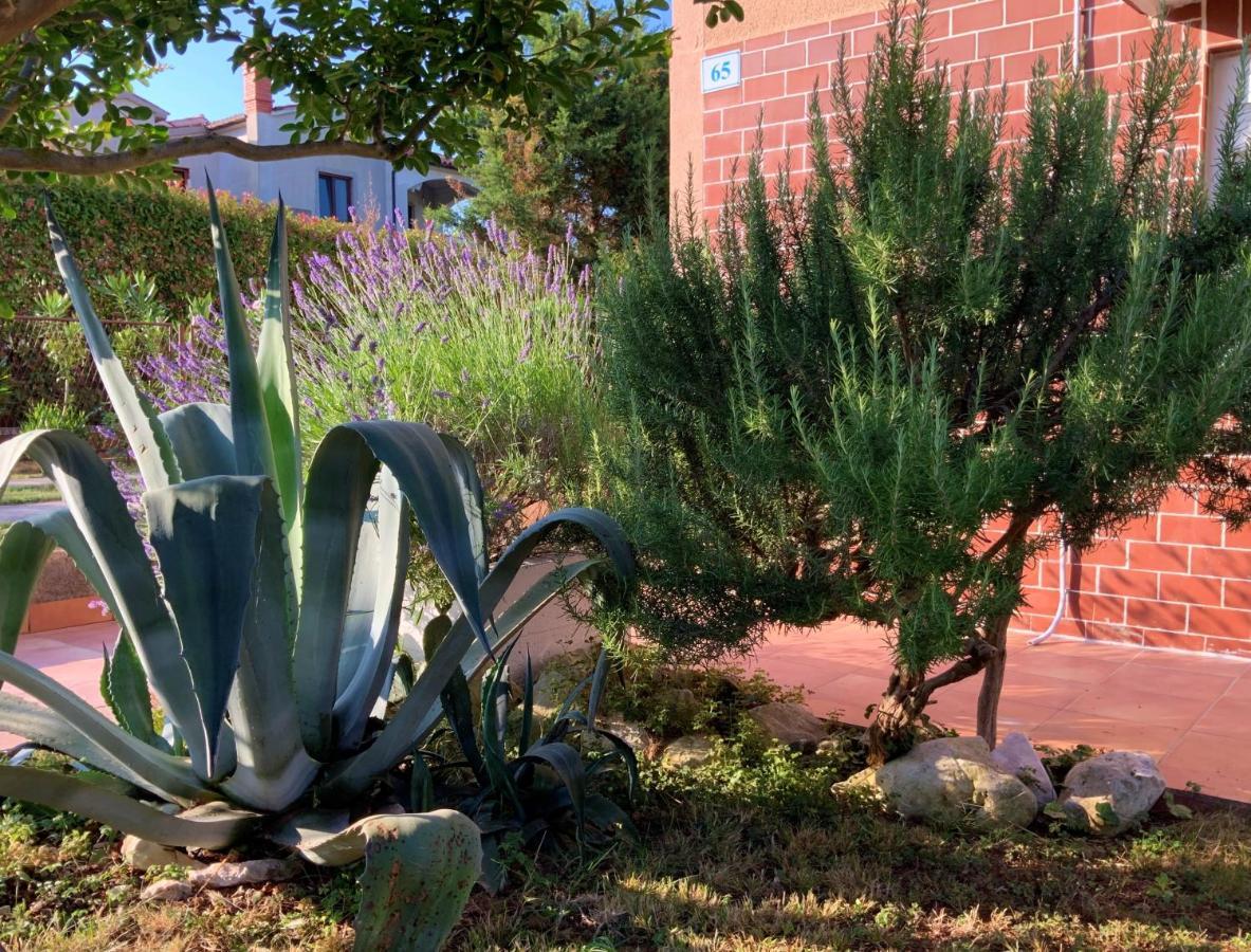 Apartment Agava Istria - Family Vacation Rental With Free Parking, Garden, Wifi Liznjan Exterior photo