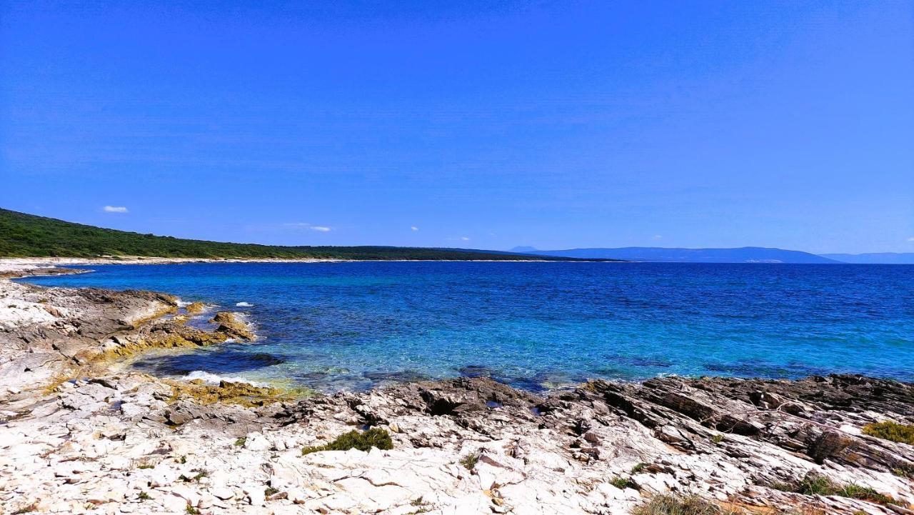Apartment Agava Istria - Family Vacation Rental With Free Parking, Garden, Wifi Liznjan Exterior photo