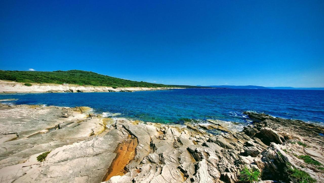 Apartment Agava Istria - Family Vacation Rental With Free Parking, Garden, Wifi Liznjan Exterior photo