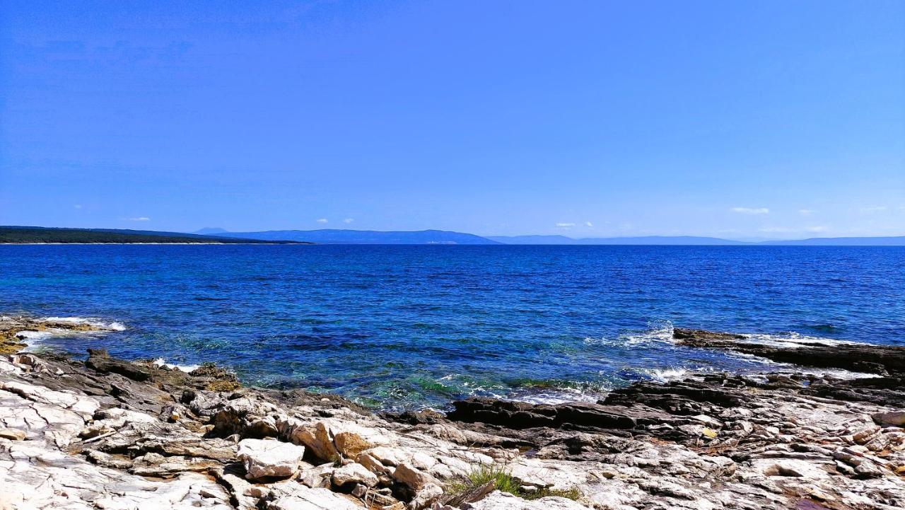 Apartment Agava Istria - Family Vacation Rental With Free Parking, Garden, Wifi Liznjan Exterior photo