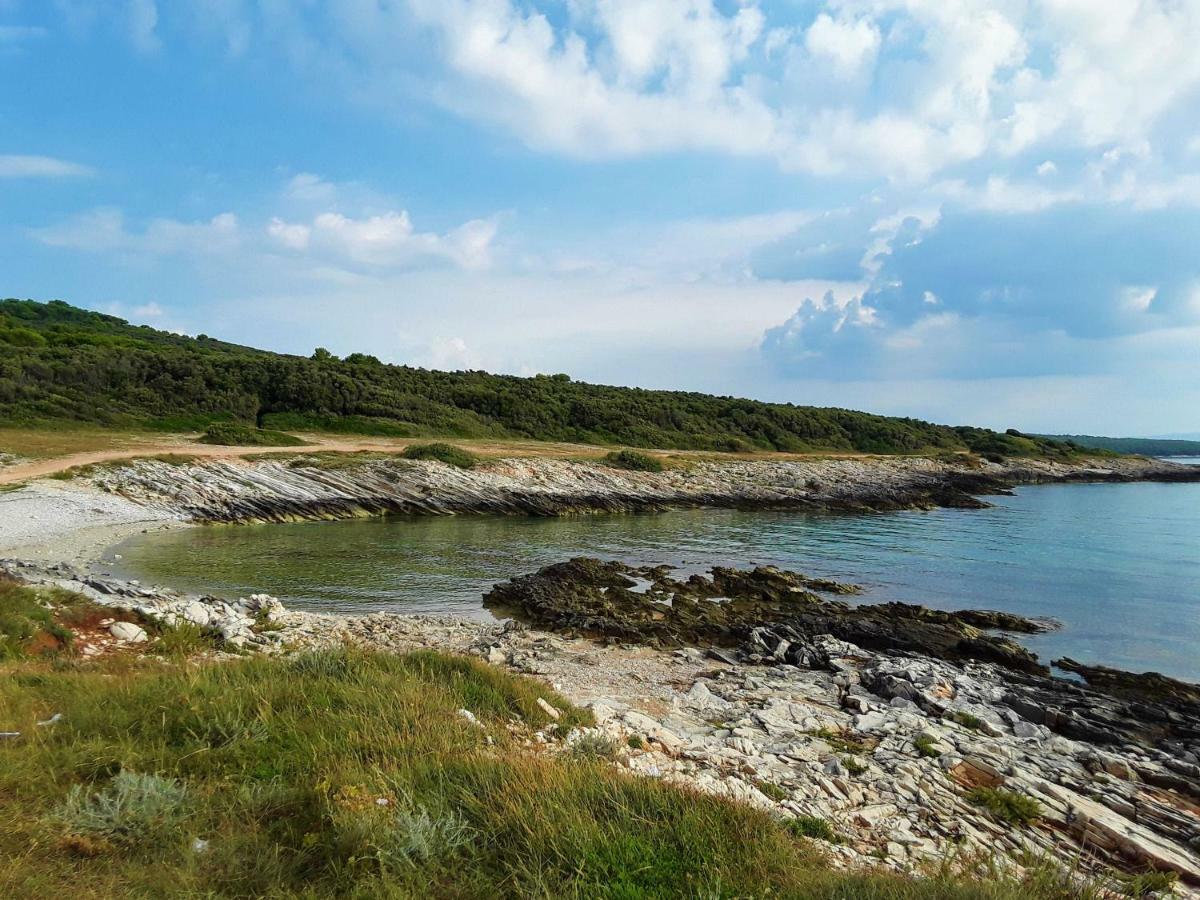 Apartment Agava Istria - Family Vacation Rental With Free Parking, Garden, Wifi Liznjan Exterior photo