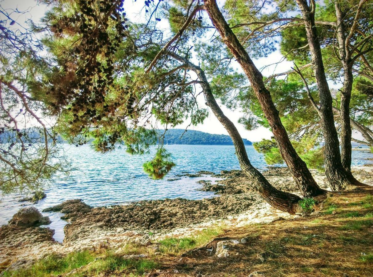 Apartment Agava Istria - Family Vacation Rental With Free Parking, Garden, Wifi Liznjan Exterior photo